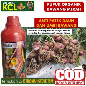Pupuk BIO SUPER KCL: Jaminan Bawang Merah Besar Sehat dan Tahan Penyakit Saat Musim Hujan 500 ML