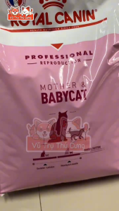 Hạt Cho Mèo Mẹ & Mèo Con Royal Canin Mother & Babycat