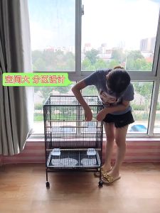 【Local Ready stock】Bird cage budgerigar cage large starling cardinal bird black bird peony parrot color breeding cage L