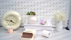NIIMBOT B21PRO 300dpi Dual Color & Photo Label Printer - Wireless for Home/Office/Business