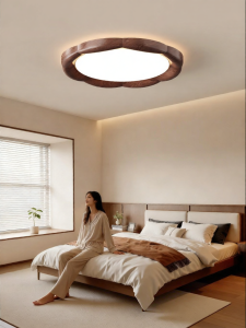 DGY | Retro Modern Style Main Ceiling Light 412K