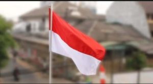 BENDERA SMALL (90)/bendera merah putih/umbul-umbul/bandir/bekron