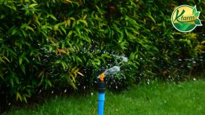 10 อัน สปริงเกอร์ใบหูช้าง รุ่น LOW COST สำหรับการเกี่ยวข้องกับโครงเหลี่ยมหมุนรอบตัว เกลียวใน 4-6 หุน สปริงเกอร์ SPRINKLER K FARM