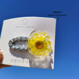 Sweet Fresh Childrens Hair Clips Transparent Dried Flower Edge Girls Hair Accessories Korean Style Baby Girl Bangs Clips