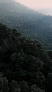 KAHF Brightening and Cooling & Acne Fight and Relaxing Body Wash 200 ml - Sabun Mandi Pria