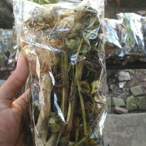 Ciplukan Kering-Teh Ciplukan Iris Murah Herbs Di4betes