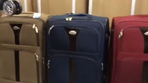 SONIA POLO luggage Trolley bag Size 24 inch Premium Quality Durable Stylish Design 4 Wheels 360 Rotation