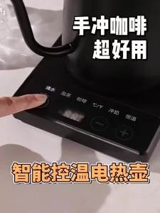Ấm Đun Nước Điện Cổ Ngỗng 1000W 800ml Làm Nóng Nhanh Chậu Pha Cà Phê Cầm Tay Ấm Trà Thông Minh Có Điều Khiển Nhiệt Độ 110V/220V