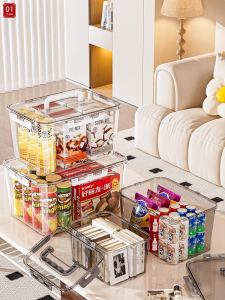 Large Capacity Hand-carry Storage Box
