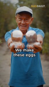 Premium HIGH QUALITY Asin Tibuok from Bohol(cracked  dinosaur egg rare artisanal sea salt) FAST DELIVERY!