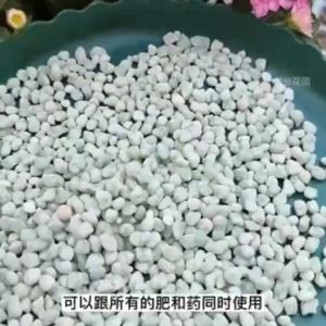 Ready to Stock 500G Beikeshi Iron SulphateCompound Fertilizer (Iron Sulphate)