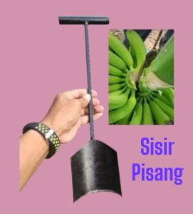 ALAT PENYISIR BUAH PISANG TERBARU TAJAM DARI BESI BAJA SPOH pande ASLI