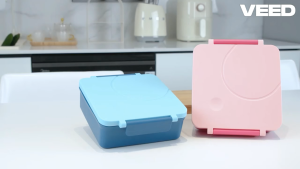 Lunch Box BPA Free School Box Back to School Multiple compartments Easy to carry School children