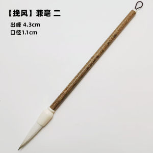 Professional Grade Medium Size Brush Calligraphy Set for Seal Script And Regular Script Calligraphy by Pen Ink Dragon