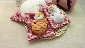 TEKANAI | Realistic Cat Plush Toy