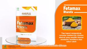 Obat Herbal Original Penambah Berat Badan Permanen BPOM Resmi FETAMAX BHARATA