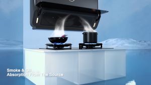 Robam Hood Series 76H1S / A670 / A675S / A676 / A812 / A817 / A825 / A0832 / A837 / A862 / A852 Kitchen Hood [ Deliver by Seller for Klang Valley ]