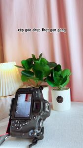 Cây giả Viên Diệp Tiêu Thảo để bàn trang trí