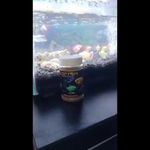 NAJMASELLER - Pelet ikan tetra Glow fish glofish glowfish size S 75gr