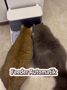 POODEE PETS Malaysia Automatic 3.8L Large Capacity 2 in 1 Style Feeder Dog Cat Water Dispenser Bekas Makanan Pet Supplies Food Bowl