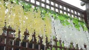 Wisteria palsu buatan unggul Vine Ratta Menggantung Bunga Sutra Pernikahan Pesta Rumah