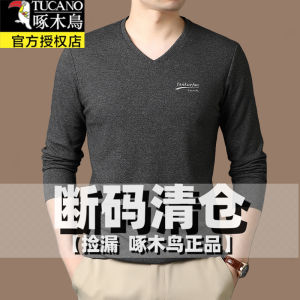 Long Sleeve V-Neck Mens T-Shirt Casual Basic Cotton Spring Autumn Fashion City Style Business Casual Pure Color Bottom Shirt