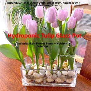 MONLEYTA | Glass Flower Pot With Rain Flower Stones Pebbles Transparent Hydroponic Tulip Container Narcissus Serving Wares Desktop Decor
