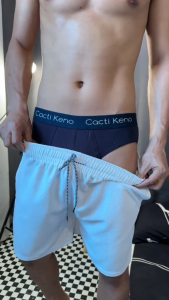Cacti Keno brief for men on sale 4pcs Original Mens Underwear Brand Classic Mens Briefs High quality stretch cotton fabric Brief Plus Size For Men 3XL 4XL