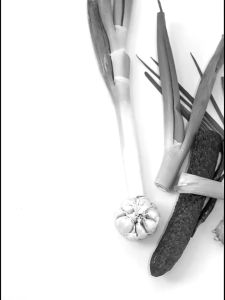 OHHDEER Divided Side Dish Plate 4 Compartments Food Plate Fruit Plate Snack Sauce Plate With Handle