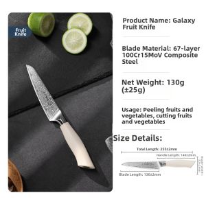 SHI BA ZI ZUO | DAMASCUS STEEL Kitchen Chef Knife