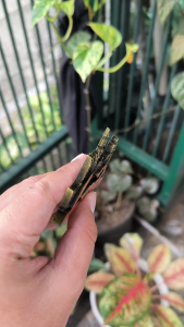 Fridge Tempelan Magnet Kulkas Souvenir Negara Inggris England Besi London GG 1