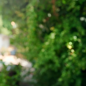 Tile by Life360 Mate Essentials - Trackers (Slim/2 Mate/Sticker). Compatible to both IOS and Android