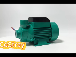 ปั๊มจุ่ม ปั๊มหอยโข่งพลังงานแสงอาทิตย์ QB60 ปั๊มน้ําพลังงานแสงอาทิตย์ 12V/24V (พร้อมแปรงถ่าน) แกนทองแดง 100% ปั๊มจุ่ม DC