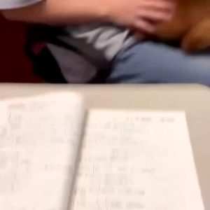 🔥BNG XHS Capybara🔥Doll Animal Plush Toy Cute Doll Cartoon Birthday Gift Plush Toy Pillow 卡皮巴拉水豚公仔 乌龟背包水豚