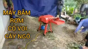 Máy băm cỏ voi đa năng có lô cuốn tại An Giang