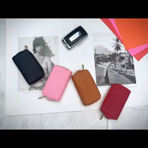 NAELIN Mini Car Key Bag PU Leather Wallet Keychain Zipper Key Holder Organizer Fashion Car Key Case