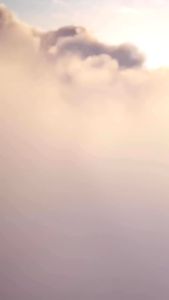 Herborist Olive Olit + Collagen | Minyak Zaitun Original Product Perawatan Kulit