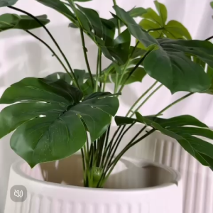 【SG Evergreen】Resin White Plant Pot with Drainage Hole & Tray Artificial Flower Plant Pot Modern Large Plants Resin Planter Pot Gardening Pot Indoor Outdoor Plants Pot