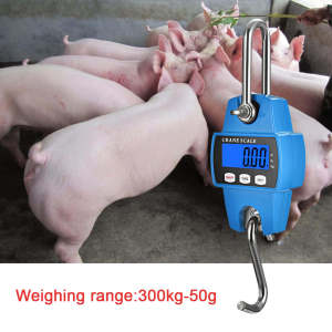 High Accuracy Industrial Digital Electronic Scales Heavy Duty Electronic Price Computing Platform 300Kg Capacity Scale Express Scale Weighing Digital Kitchen Weight Sacle