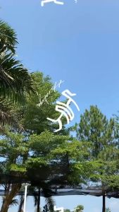 Kity Sling Bag Synthetic Leather Premium Tammi Korean Style 17x15x5.5cm