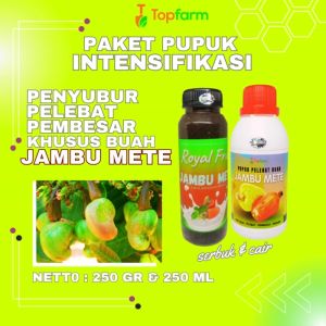 Pupuk Jambu Mete / Pupuk Pelebat Buah Jambu Air / Pupuk Pelebat Buah Jambu Mete / Pupuk Pelebat Buah Jambu Jamaika / Pupuk Pelebat Buah Jambu
