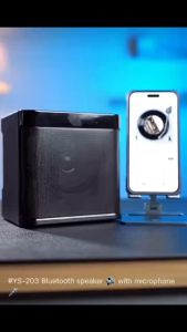 ไมโครโฟนคู่ ลำโพงบลูทูธ Blutooth Speake แบบพกพา 203 รองรับ USB/TF/AUX ลำโพงบลูทูธแบบพกพา คาราโอเกะ ลําโพง speaker