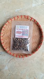 gói 50 hạt thầu dầu tía giống