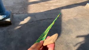 Kipas Tangan Anyaman Bambu Warna Hijau dan Kuning - Desain Retro Elegan