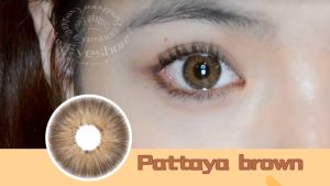 【MUMUVI】GRAY Colored Contact Lenses 14.2MM PATTAYA GRAY Soft Lens Makeup Contact Lens (0.00)