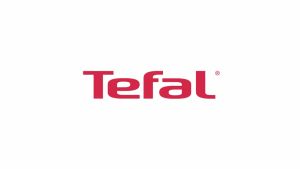Tefal Starter Stewpot W/Lid 20cm (Stainless-steel cookware Premium quality stainless-steel Stay-cool bakelite handle)