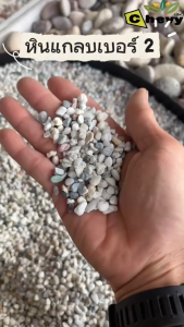 หินแกลบ เบอร์ 2 น้ำหนัก 10 กก จำนวน 1 กระสอบ