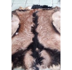 kulit kambing kering ukuran jumbo buat bedug gendangrabana dll