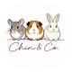 C&C Pet Mart