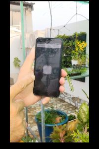 Bộ điều khiển tự động cho hệ thống tưới cây có tích hợp relay chịu tải điều khiển từ xa thông qua điện thoại có thể hẹn giờ